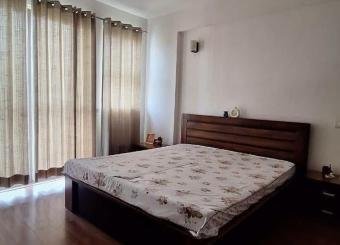 Property_88F10FC7353D