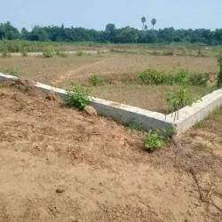 Property_29DFA75C9475