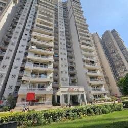 Property_3A413C2968C3