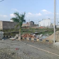 Property_8EA68445FB81