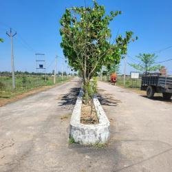 Property_ADC093091960